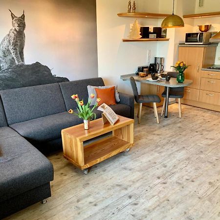 Appartement Luchsbutze à Sankt-Andreasberg Extérieur photo