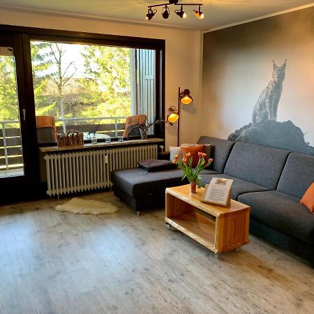 Appartement Luchsbutze à Sankt-Andreasberg Extérieur photo