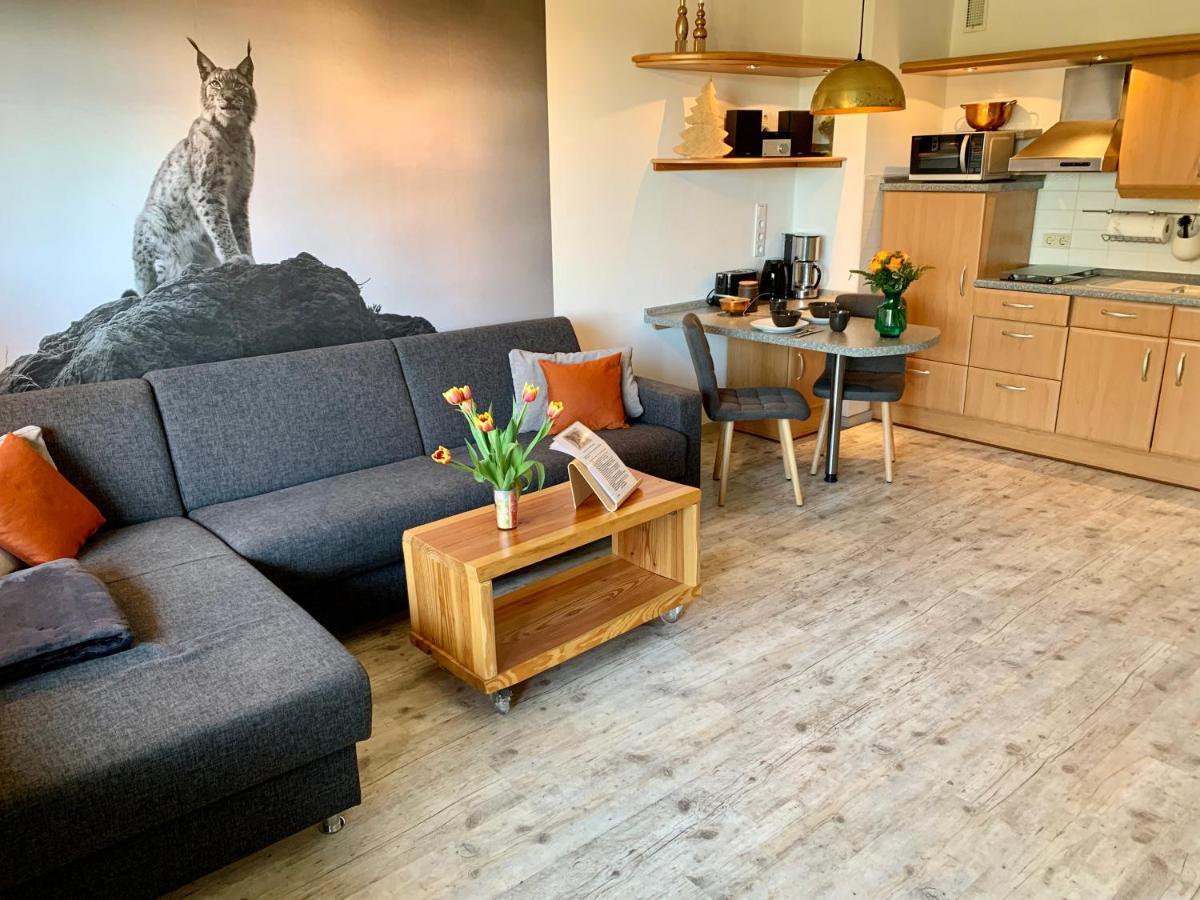 Appartement Luchsbutze à Sankt-Andreasberg Extérieur photo