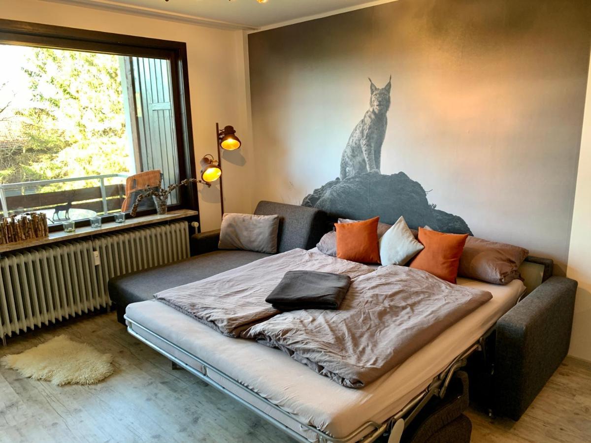 Appartement Luchsbutze à Sankt-Andreasberg Extérieur photo