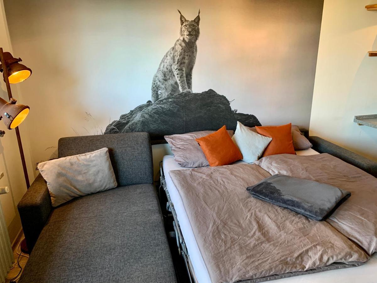 Appartement Luchsbutze à Sankt-Andreasberg Extérieur photo