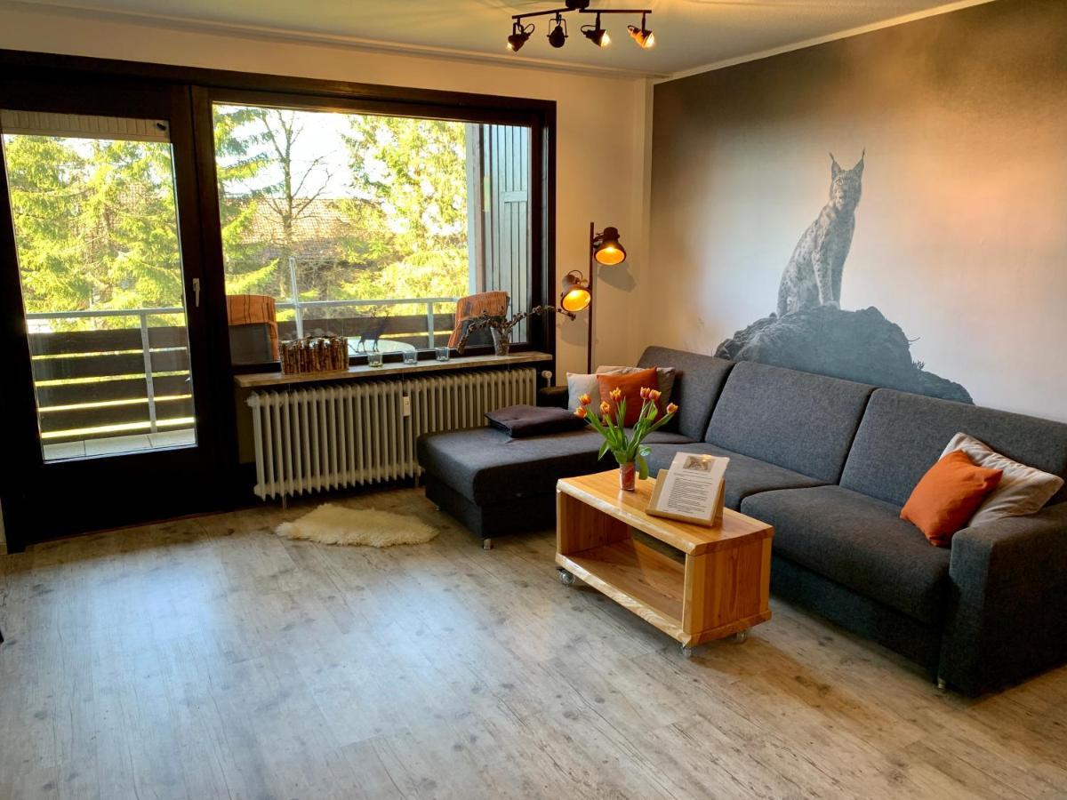 Appartement Luchsbutze à Sankt-Andreasberg Extérieur photo