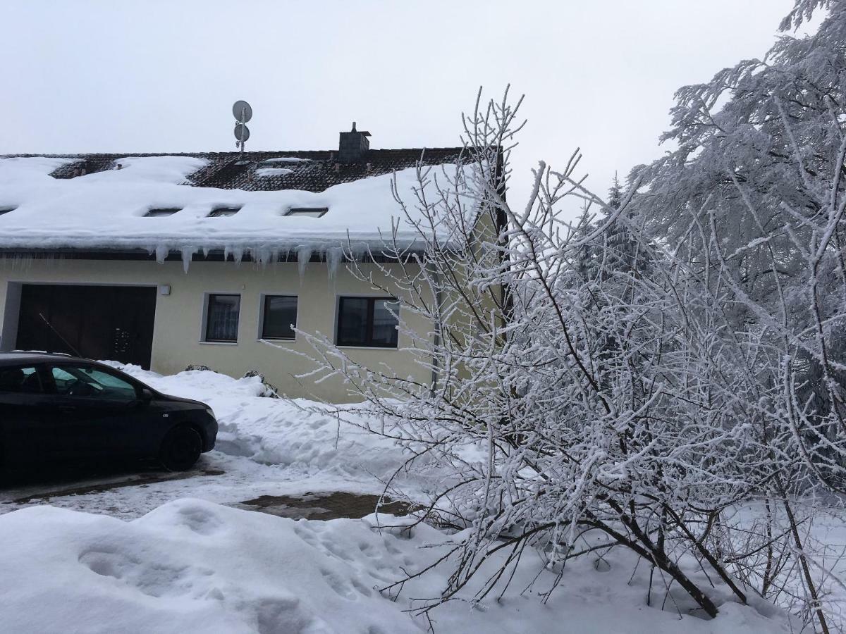 Appartement Luchsbutze à Sankt-Andreasberg Extérieur photo