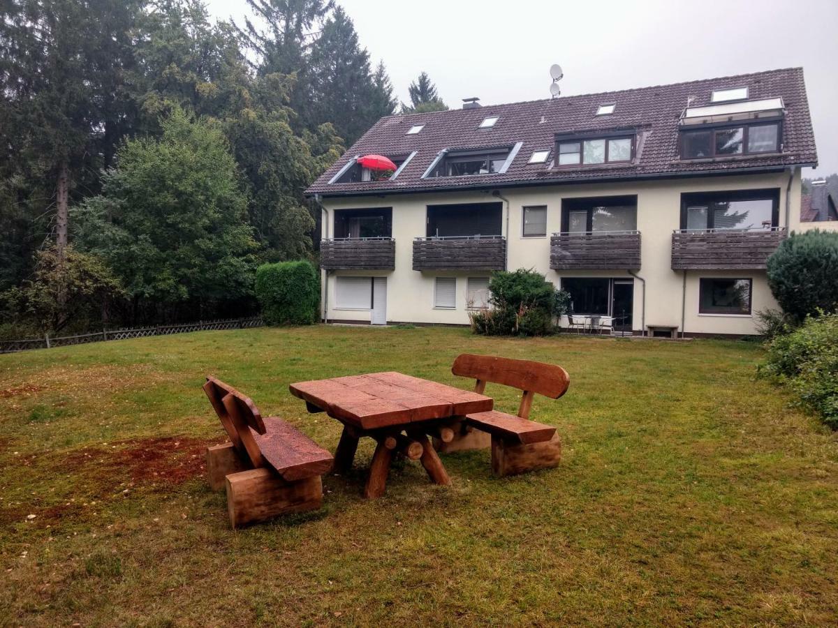 Appartement Luchsbutze à Sankt-Andreasberg Extérieur photo